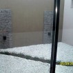 Pato Interno del Estudio